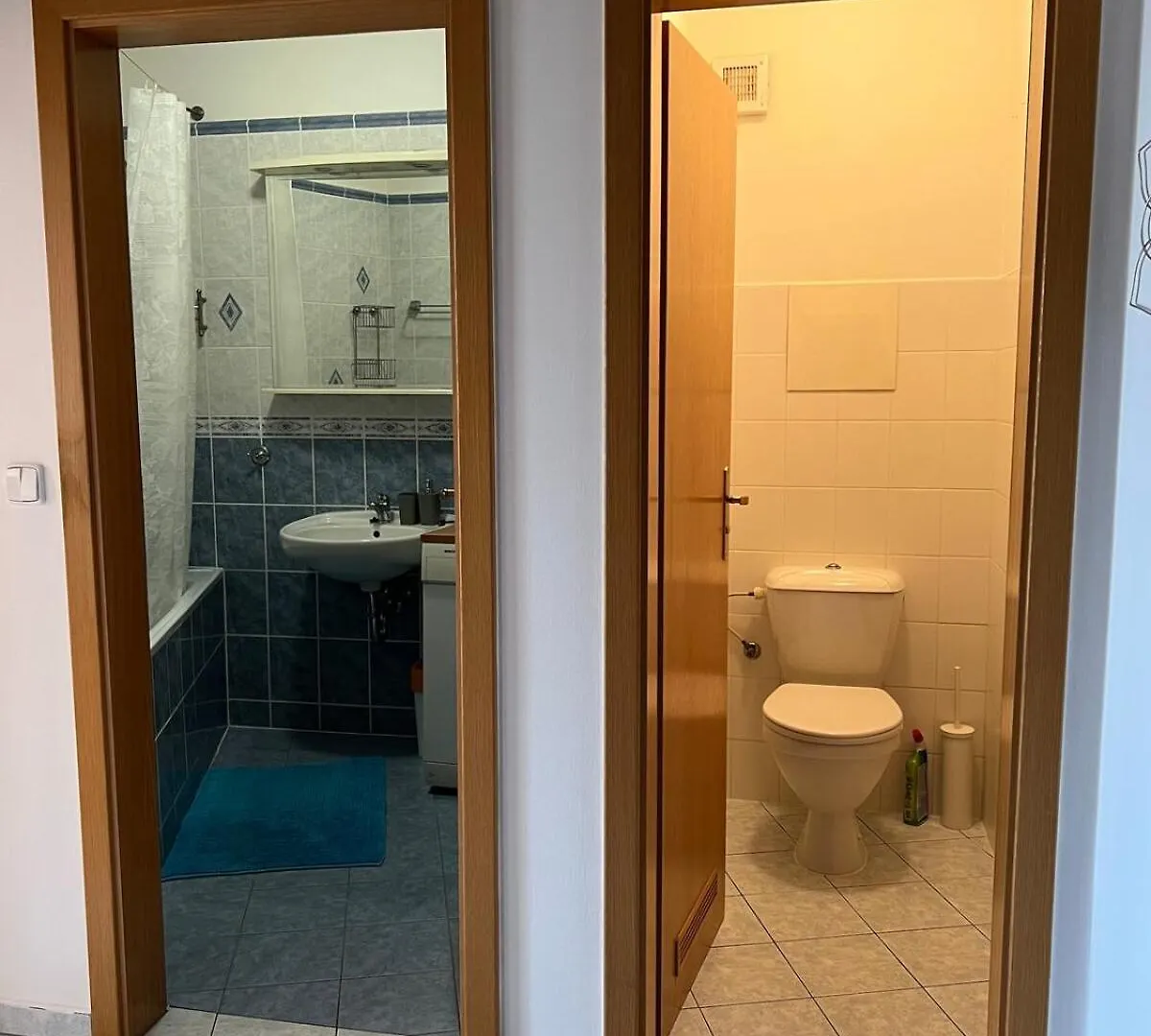 A Large 1 Bedroom Apartment With An Available Private Parking Prague Czech Republic